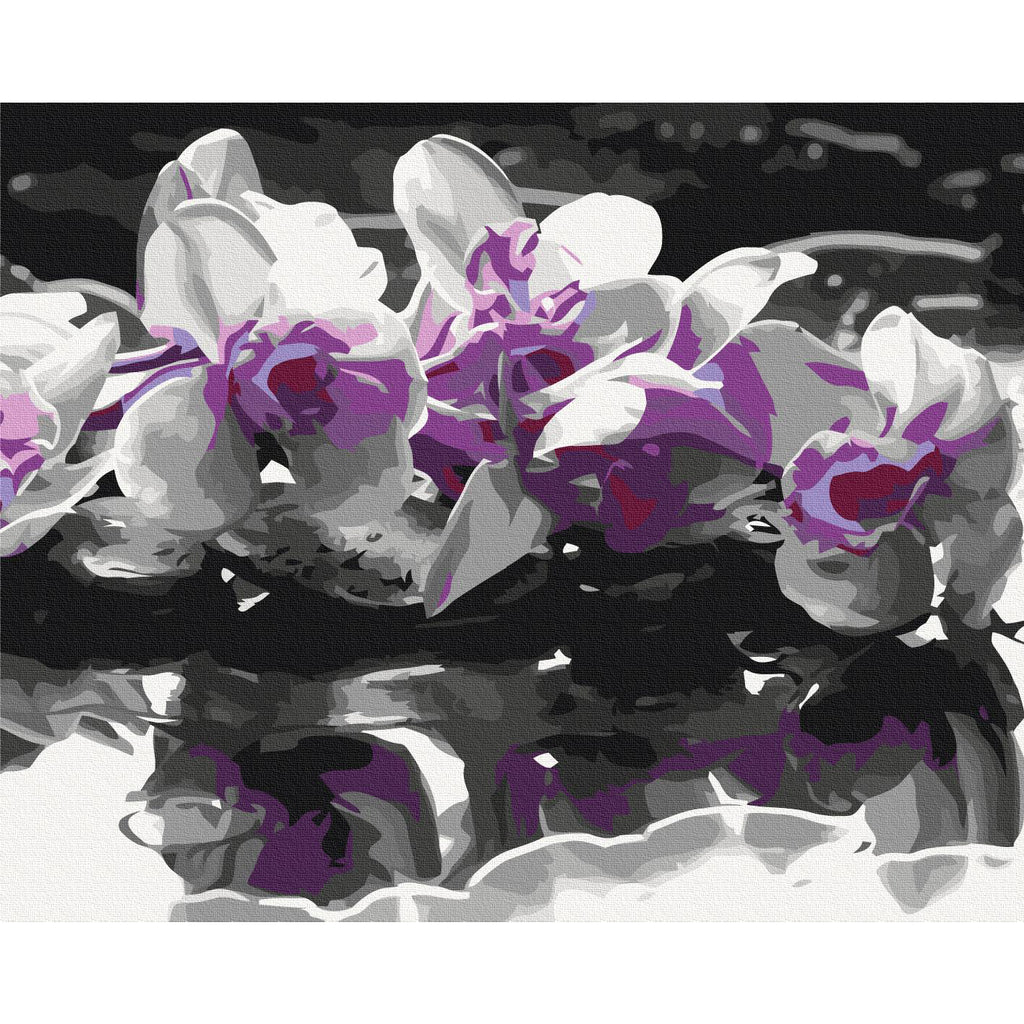 Purple Orchid Reflection Paint by Numbers