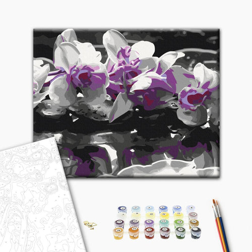 Purple Orchid Reflection Paint by Numbers