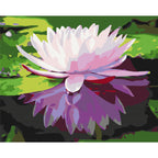 Water Lily Floral Paint by Numbers Kit