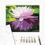 Water Lily Floral Paint by Numbers Kit