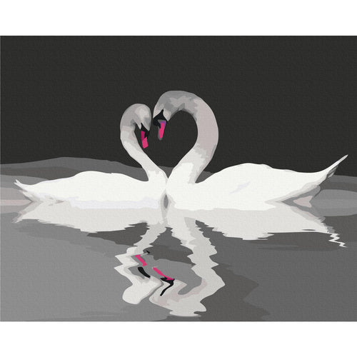 Swan Couple Romantic Paint by Numbers