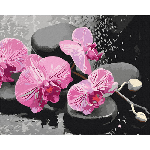 Orchid and Zen Stones Paint by Numbers Kit