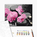 Orchid and Zen Stones Paint by Numbers Kit