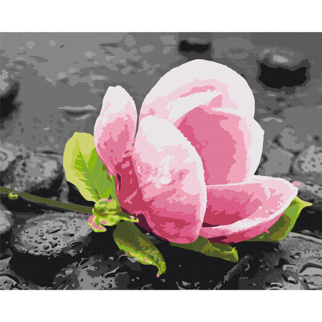 Pink Flower and Stones Nature Paint by Numbers