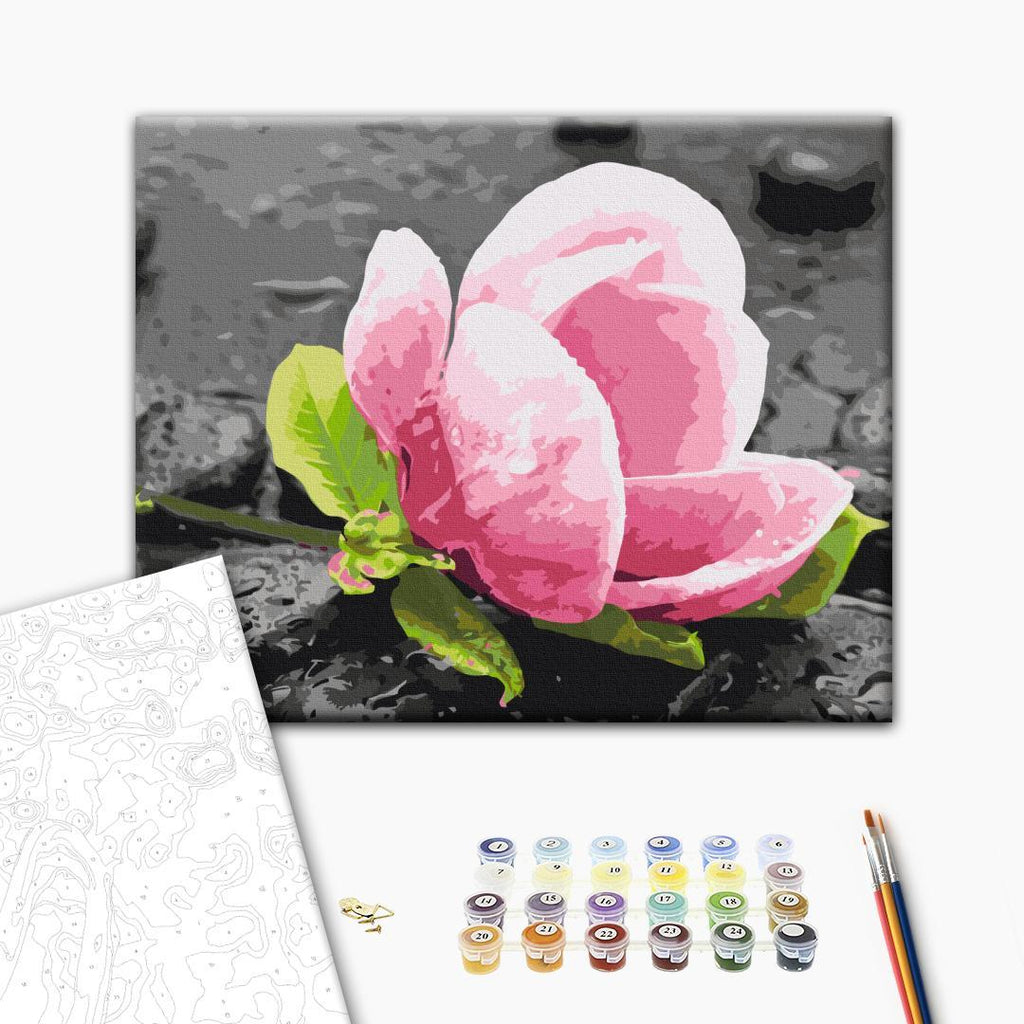Pink Flower and Stones Nature Paint by Numbers