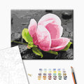 Pink Flower and Stones Nature Paint by Numbers