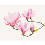 Floral Twig Nature Paint by Numbers Kit