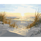 Coastal Sand Dunes Landscape Paint by Numbers Kit