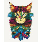 Colourful Cat Mane Abstract Paint by Numbers Kit