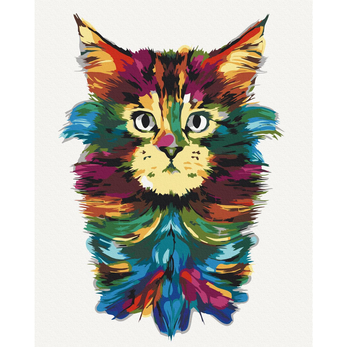 Colourful Cat Mane Abstract Paint by Numbers Kit