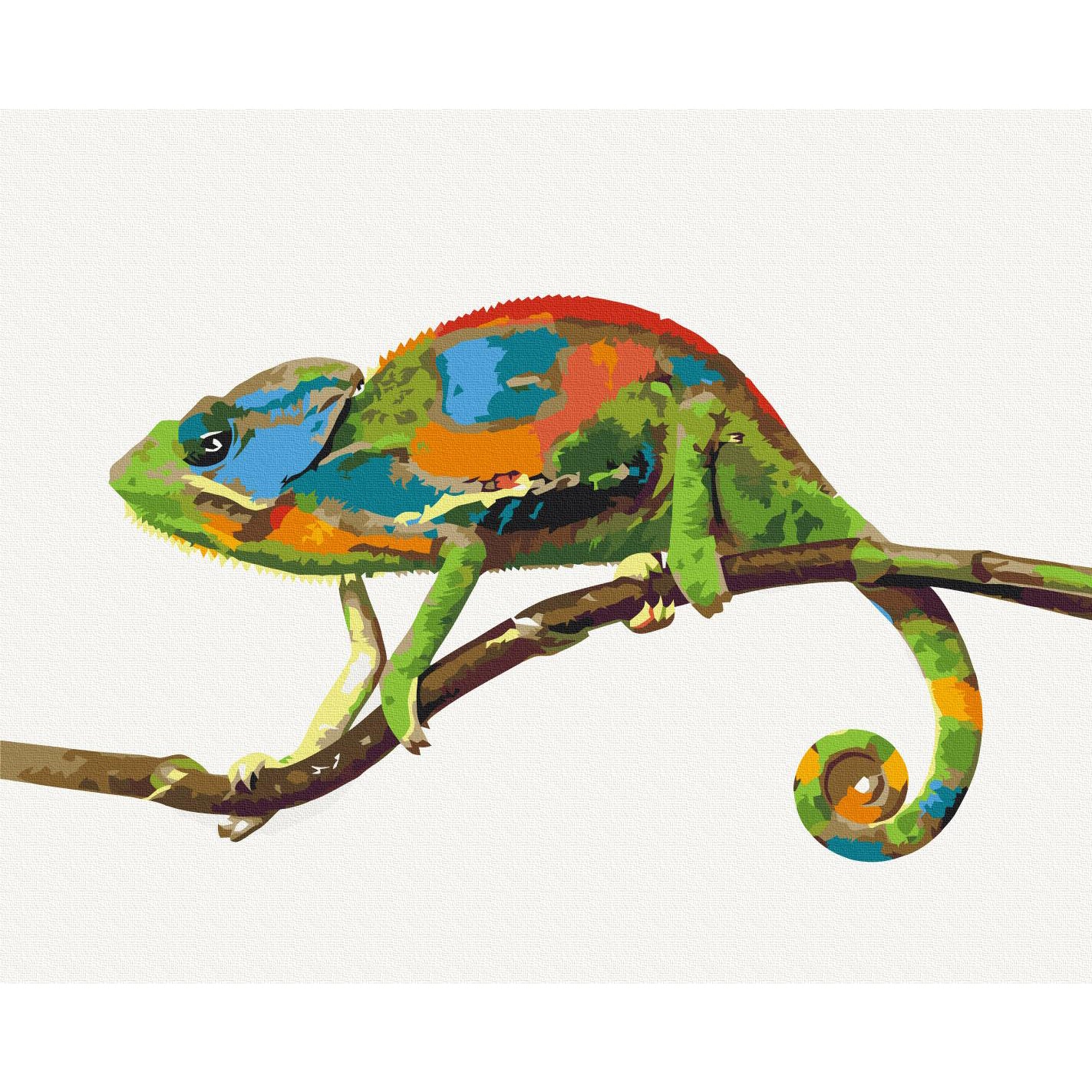 Colourful Chameleon Animals Paint by Numbers