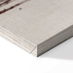 Abstract Two Comets Texture Canvas Print