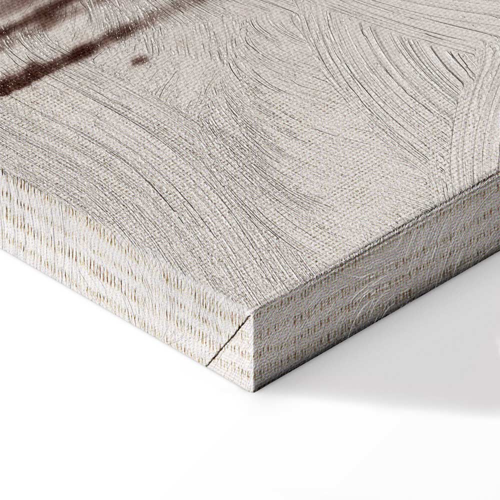 Abstract Two Comets Texture Canvas Print