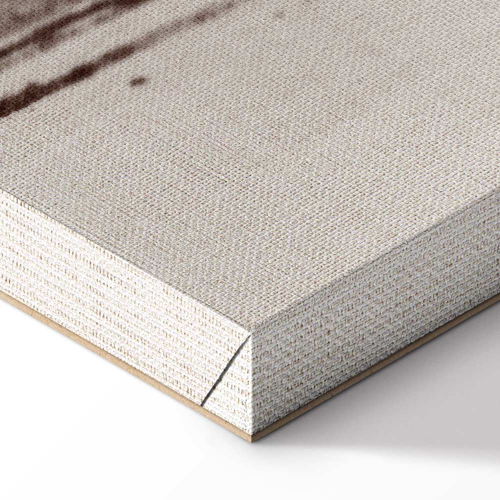 Abstract Two Comets Texture Canvas Print