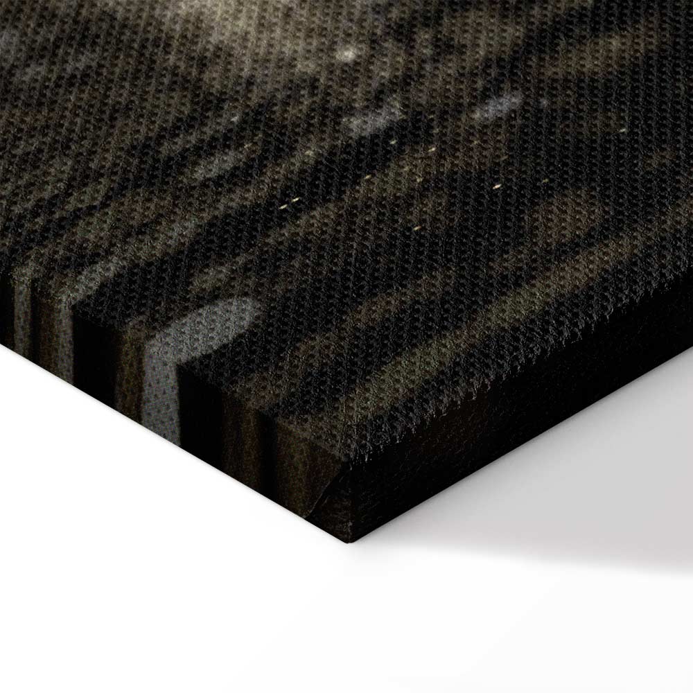 Winter Snowstorm Night Landscape Canvas Print