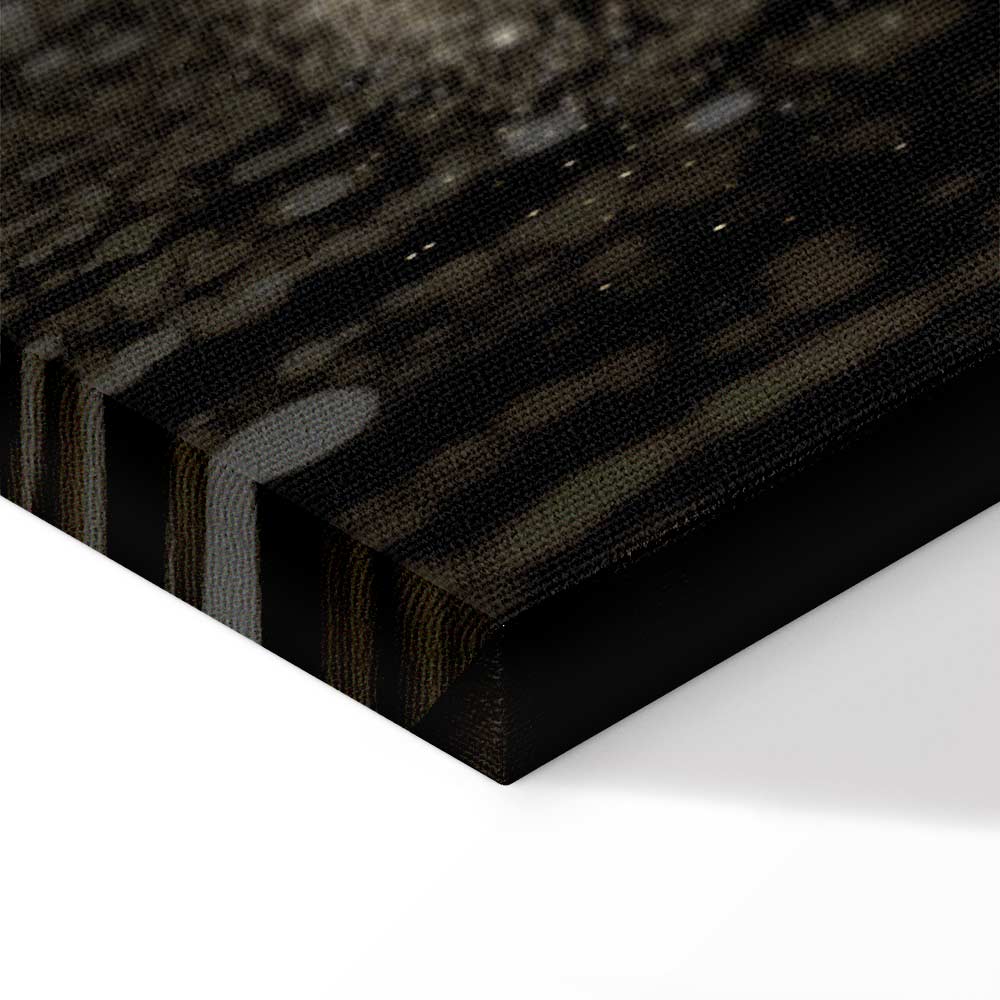 Winter Snowstorm Night Landscape Canvas Print