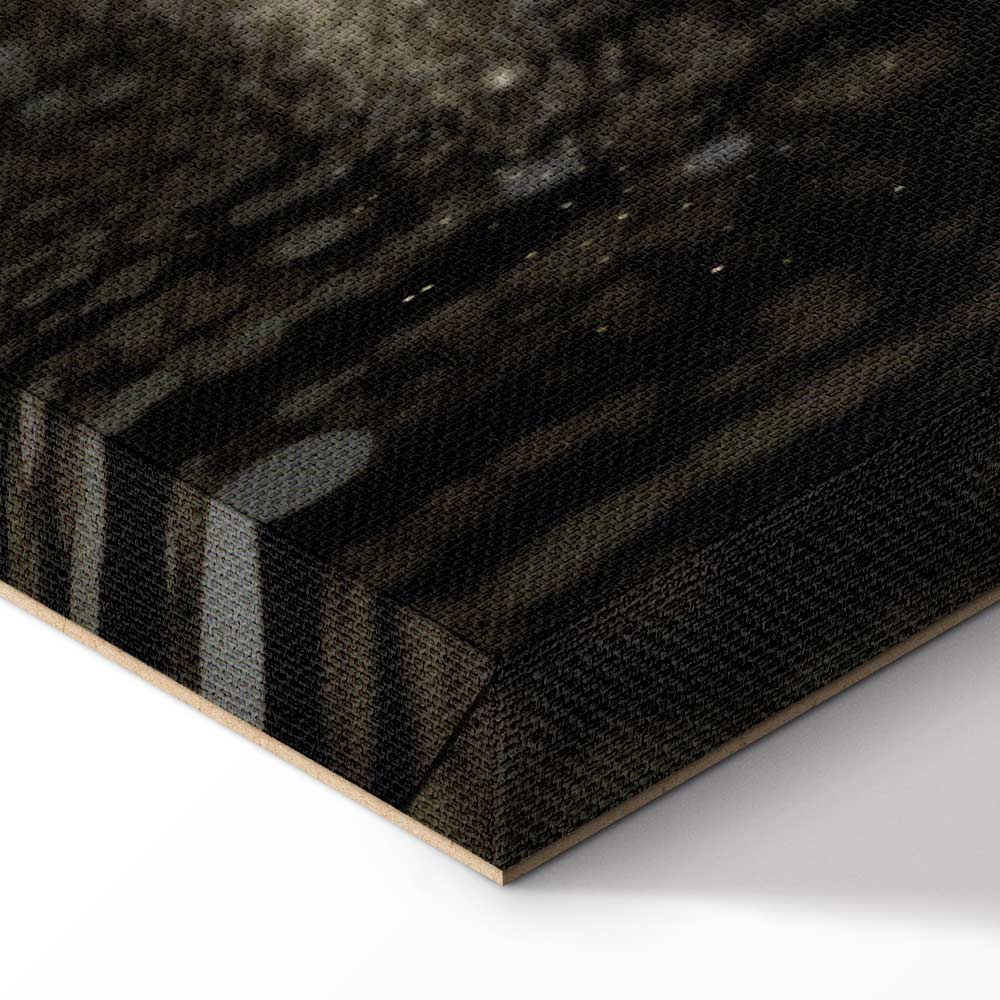 Winter Snowstorm Night Landscape Canvas Print