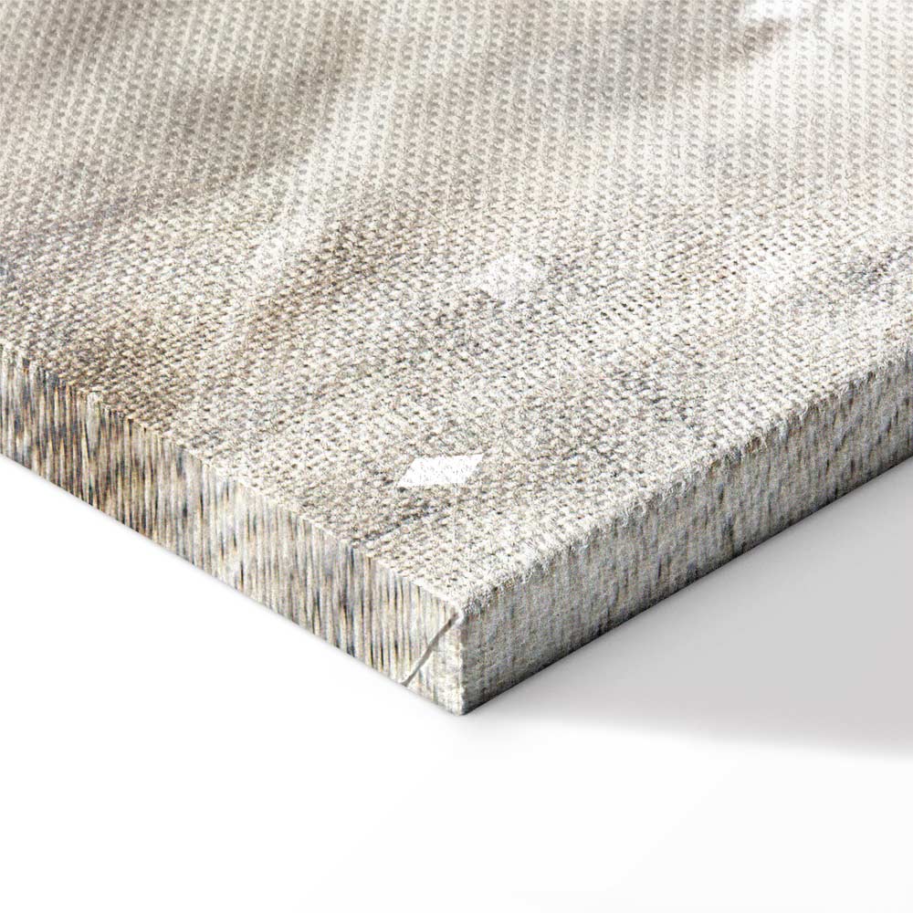 May Snow Abstract Winter Texture Canvas Print