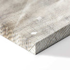 May Snow Abstract Winter Texture Canvas Print