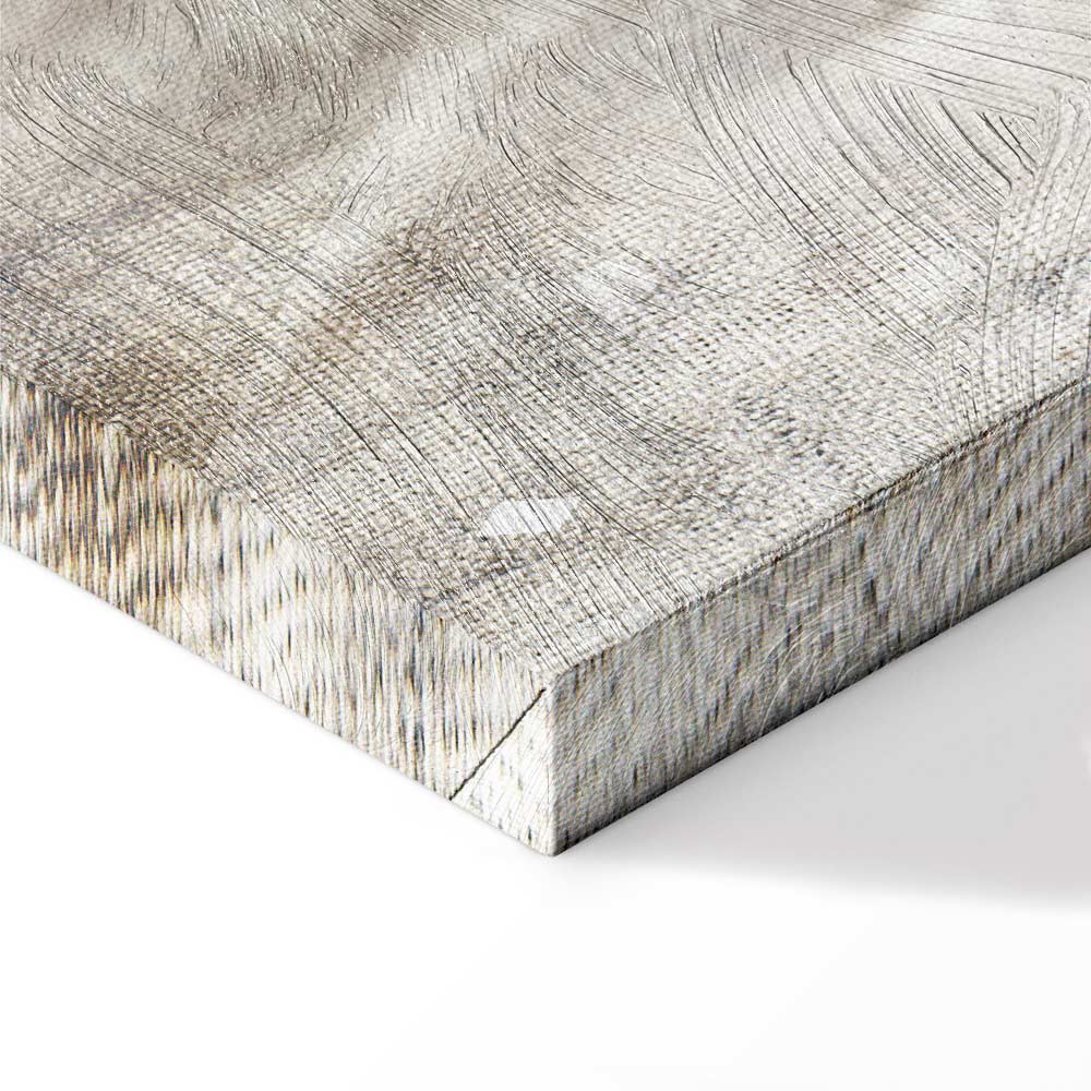 May Snow Abstract Winter Texture Canvas Print