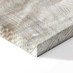 May Snow Abstract Winter Texture Canvas Print