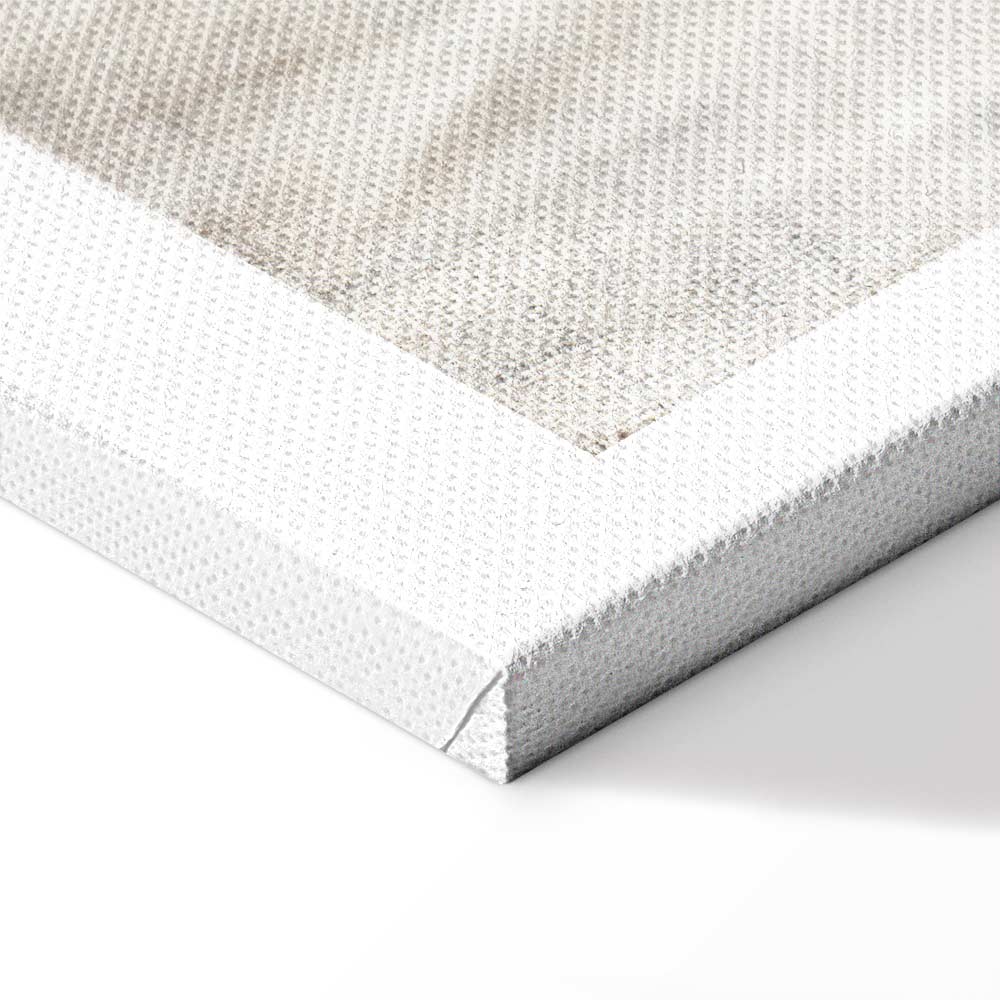 Abstract Chiaroscuro Grey Texture Canvas Print