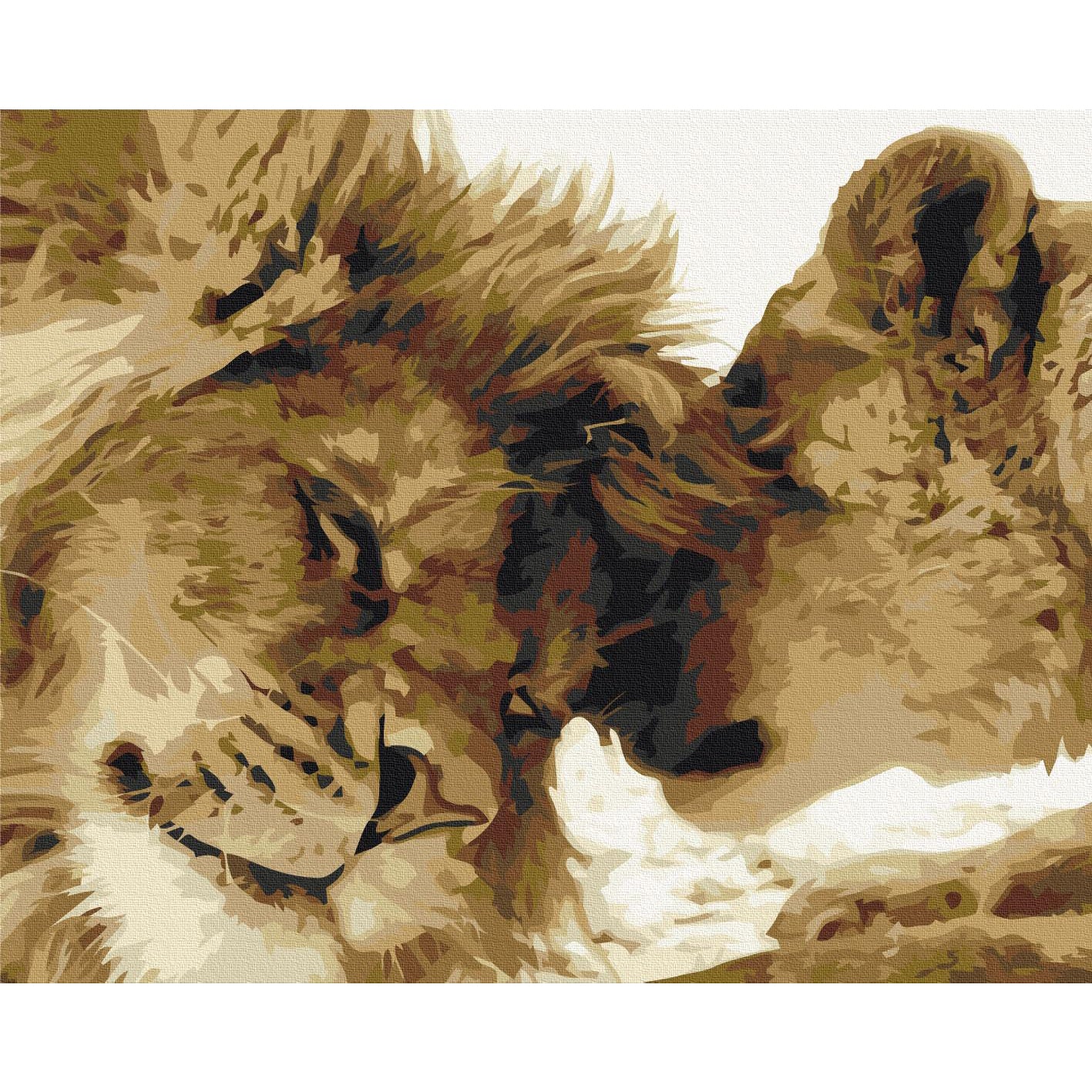 Cold Owl Winter Paint by Numbers Kit