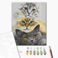 Cat Trio Charming Paint by Numbers Kit