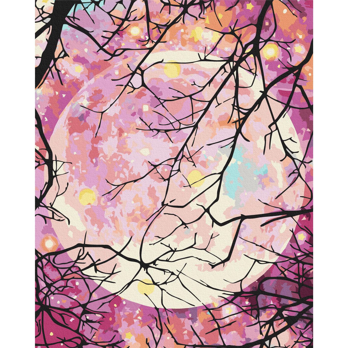 Starry Night Landscape Paint by Numbers Kit