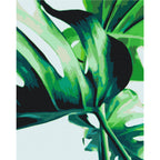 Monstera Adansonii Leaves Nature Paint by Numbers