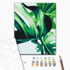 Monstera Adansonii Leaves Nature Paint by Numbers