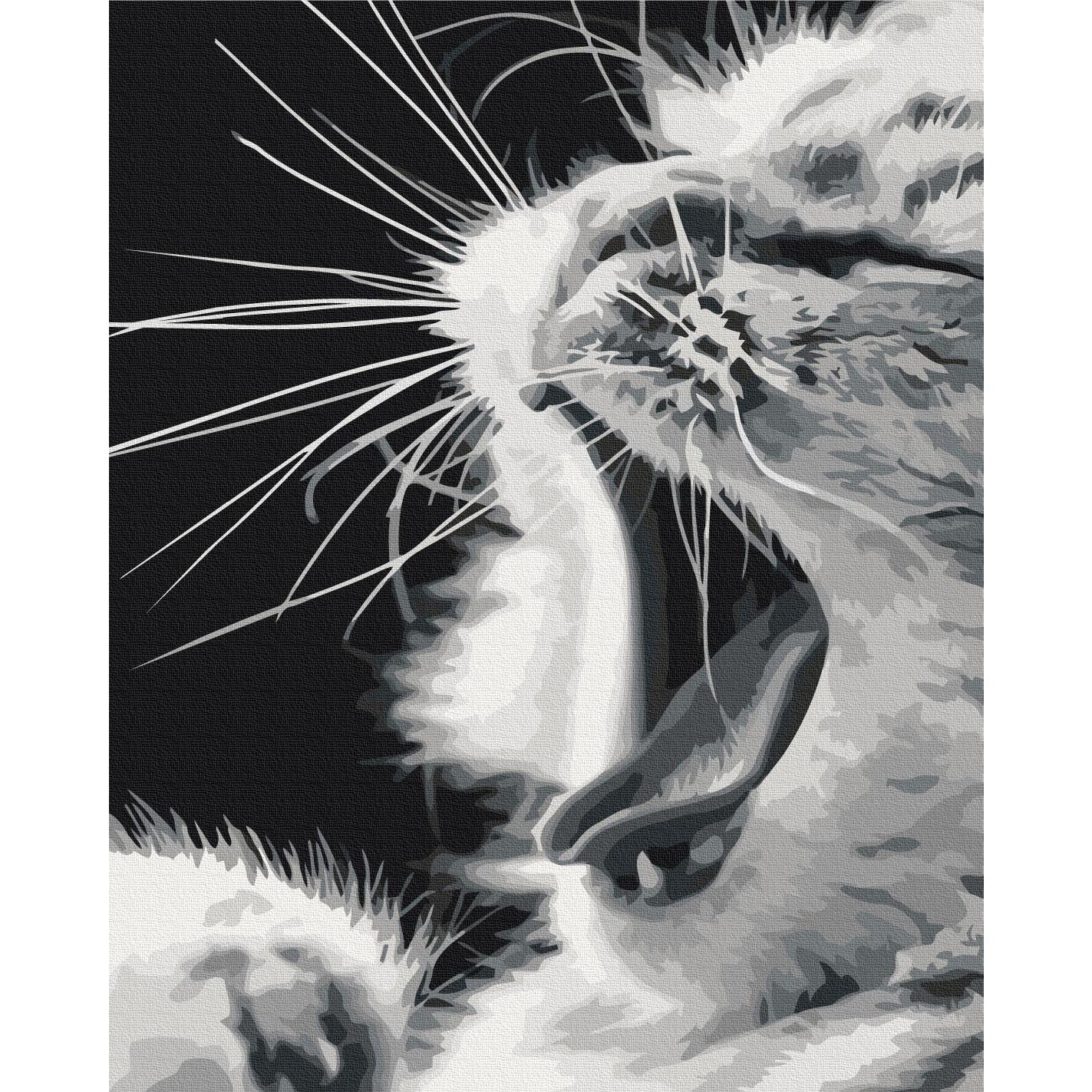 Yawning Kitten Animals Paint by Numbers
