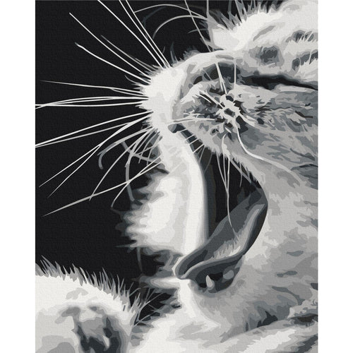 Yawning Kitten Animals Paint by Numbers