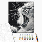 Yawning Kitten Animals Paint by Numbers