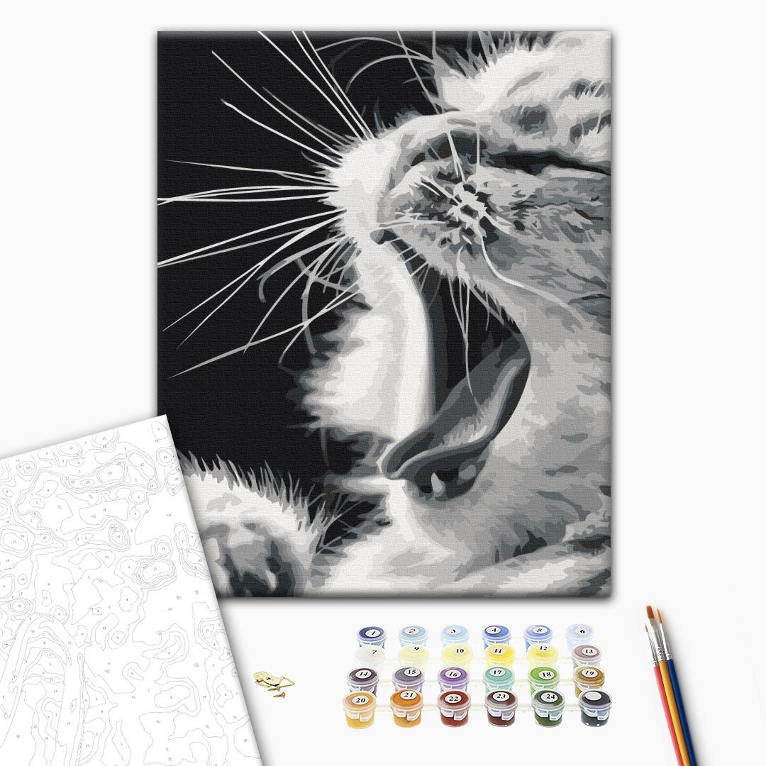 Yawning Kitten Animals Paint by Numbers