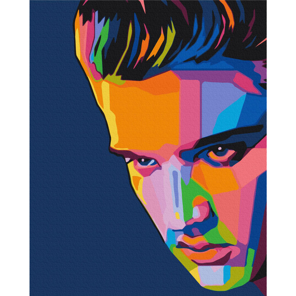 Colourful Elvis Portrait Paint by Numbers