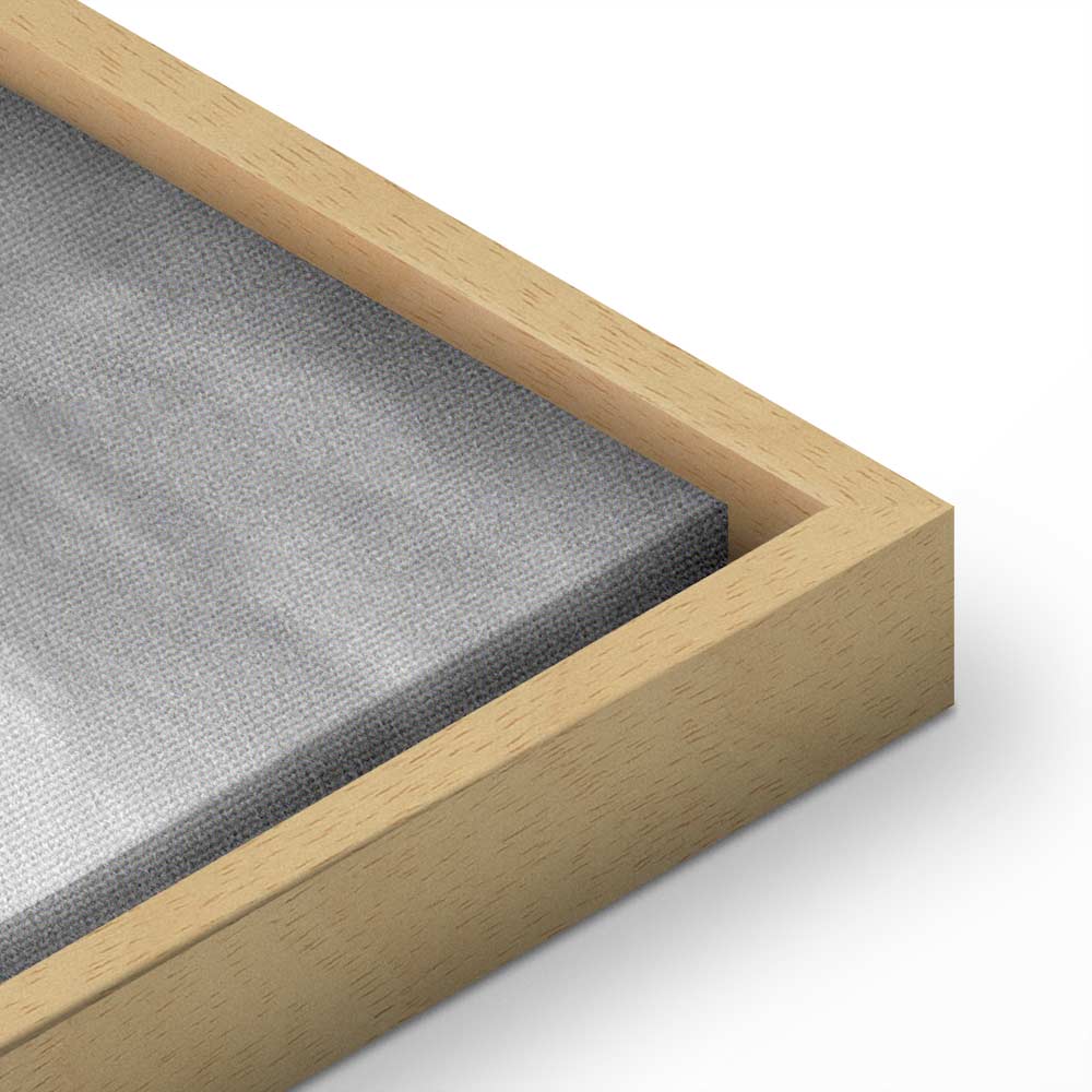 Cosmic Speed Space Canvas Print