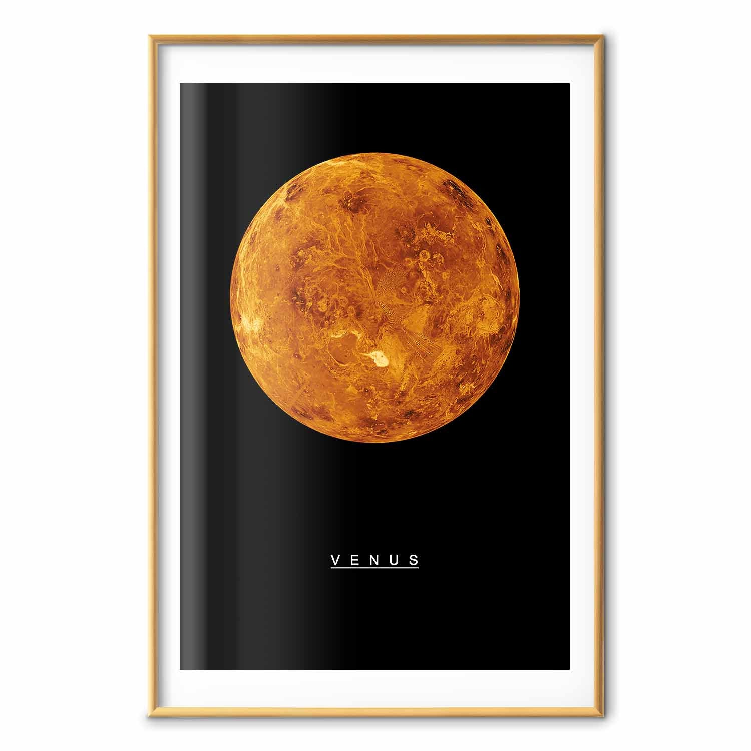 Venus Cosmos Inscriptions Poster