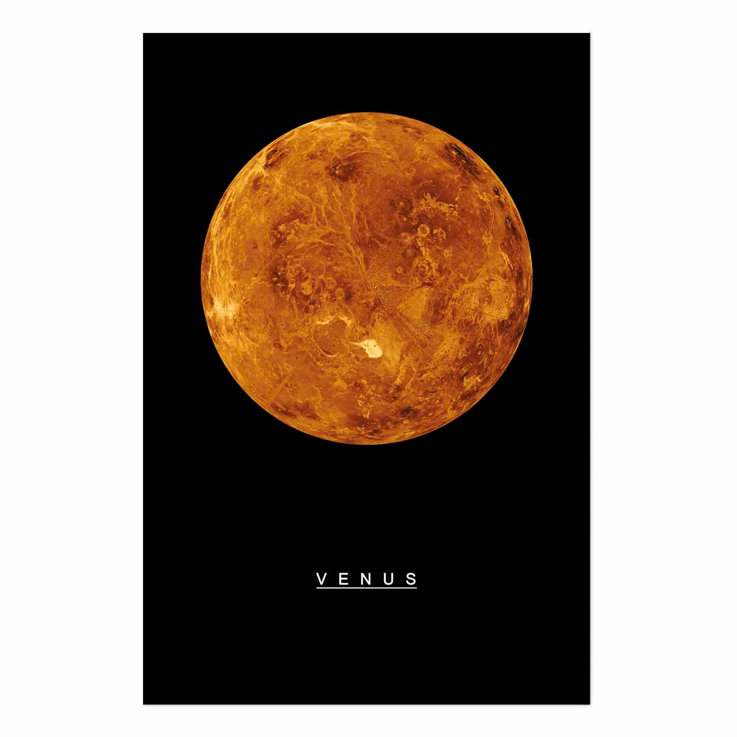 Venus Cosmos Inscriptions Poster