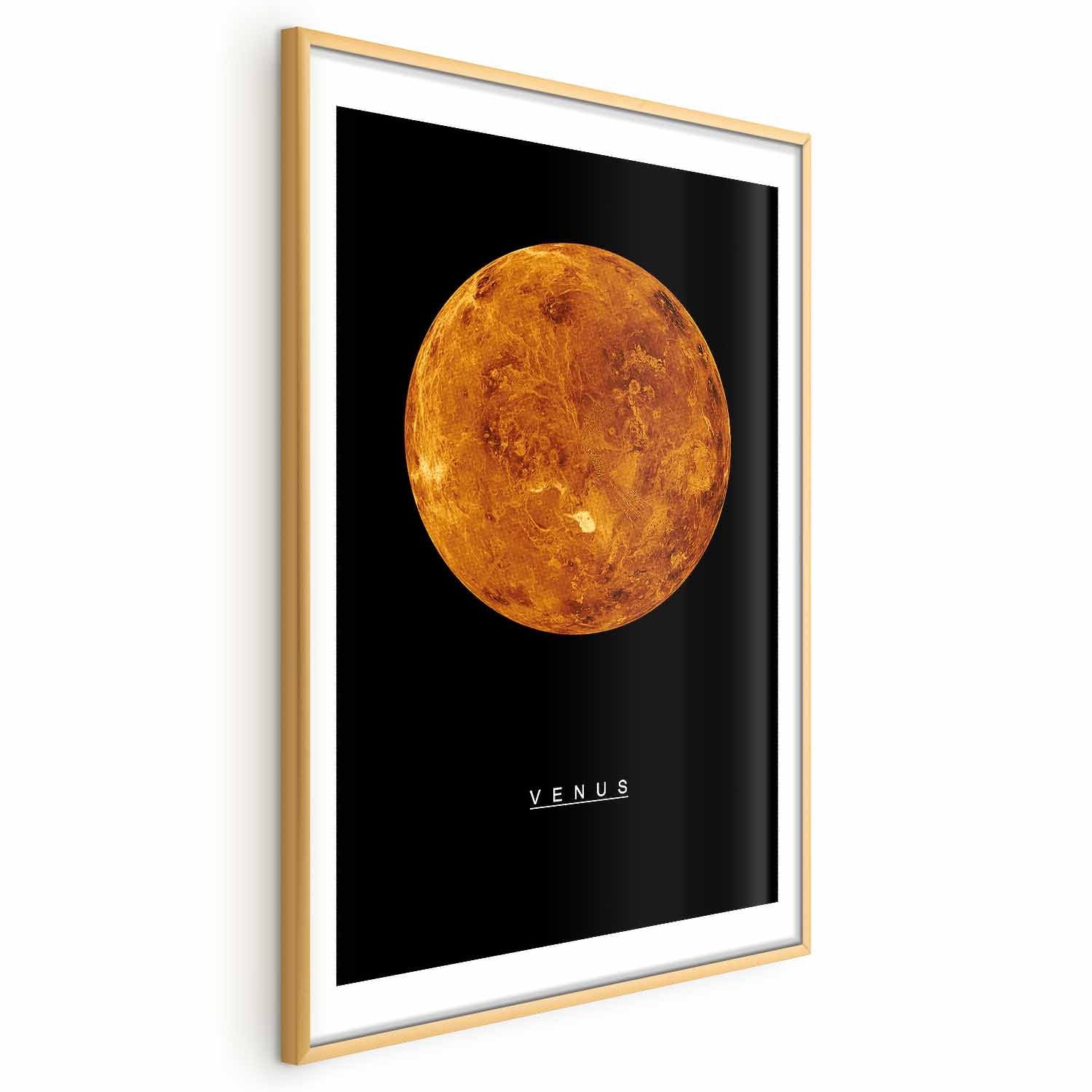 Venus Cosmos Inscriptions Poster