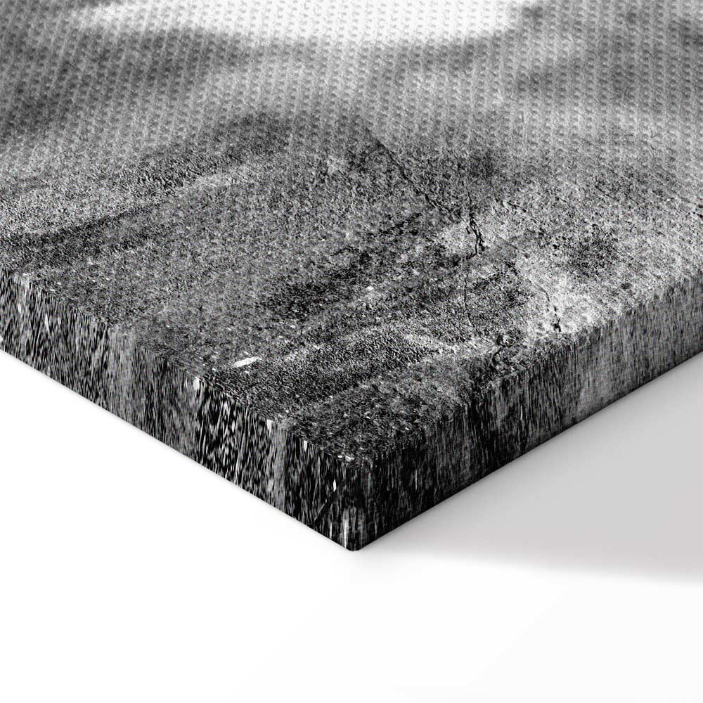 Fleeting Mystery Abstract Texture Canvas Print