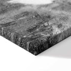 Fleeting Mystery Abstract Texture Canvas Print