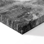 Fleeting Mystery Abstract Texture Canvas Print