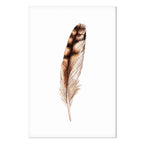 Magic Feather Bird Nature Canvas Print