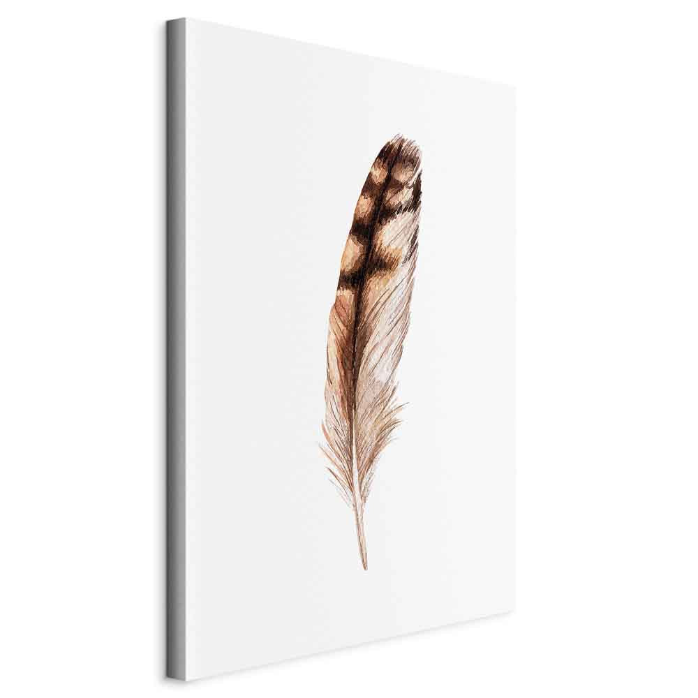 Magic Feather Bird Nature Canvas Print