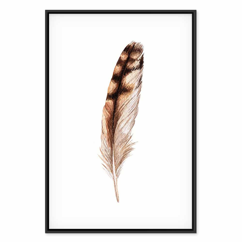 Magic Feather Bird Nature Canvas Print