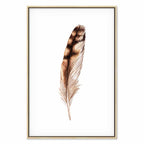 Magic Feather Bird Nature Canvas Print