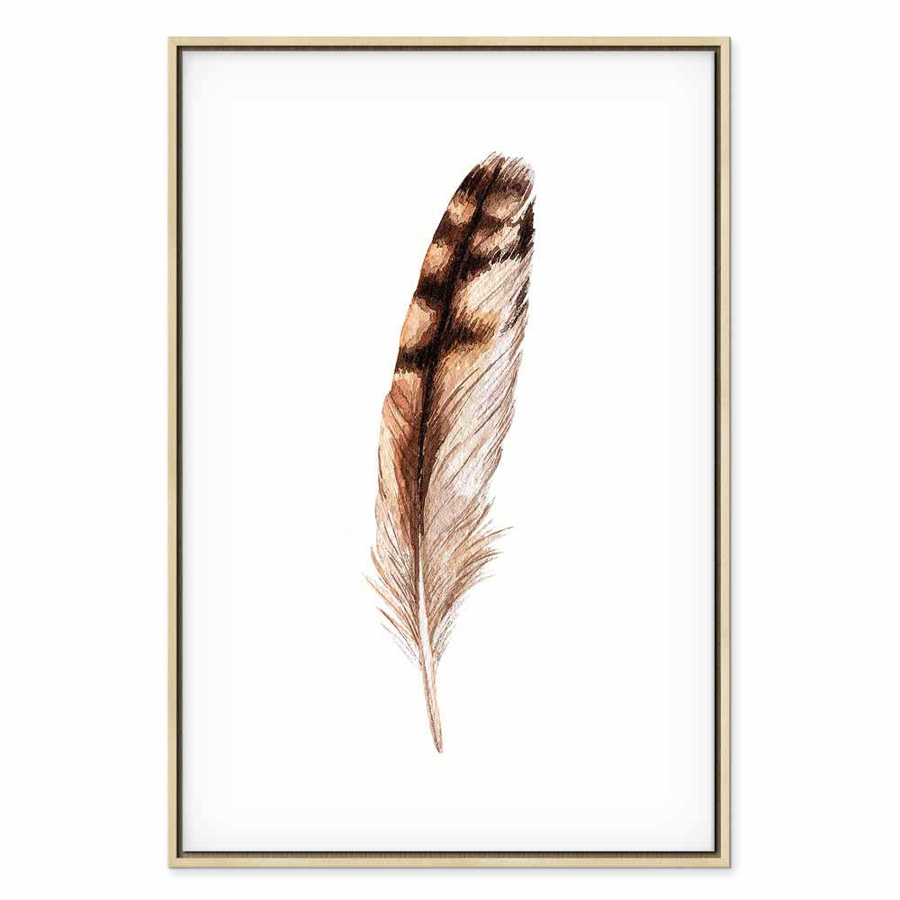 Magic Feather Bird Nature Canvas Print
