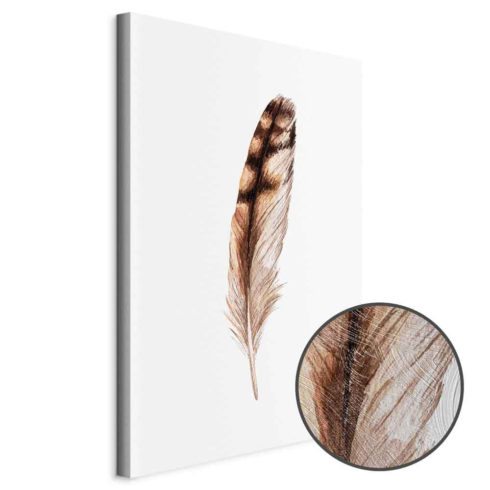 Magic Feather Bird Nature Canvas Print