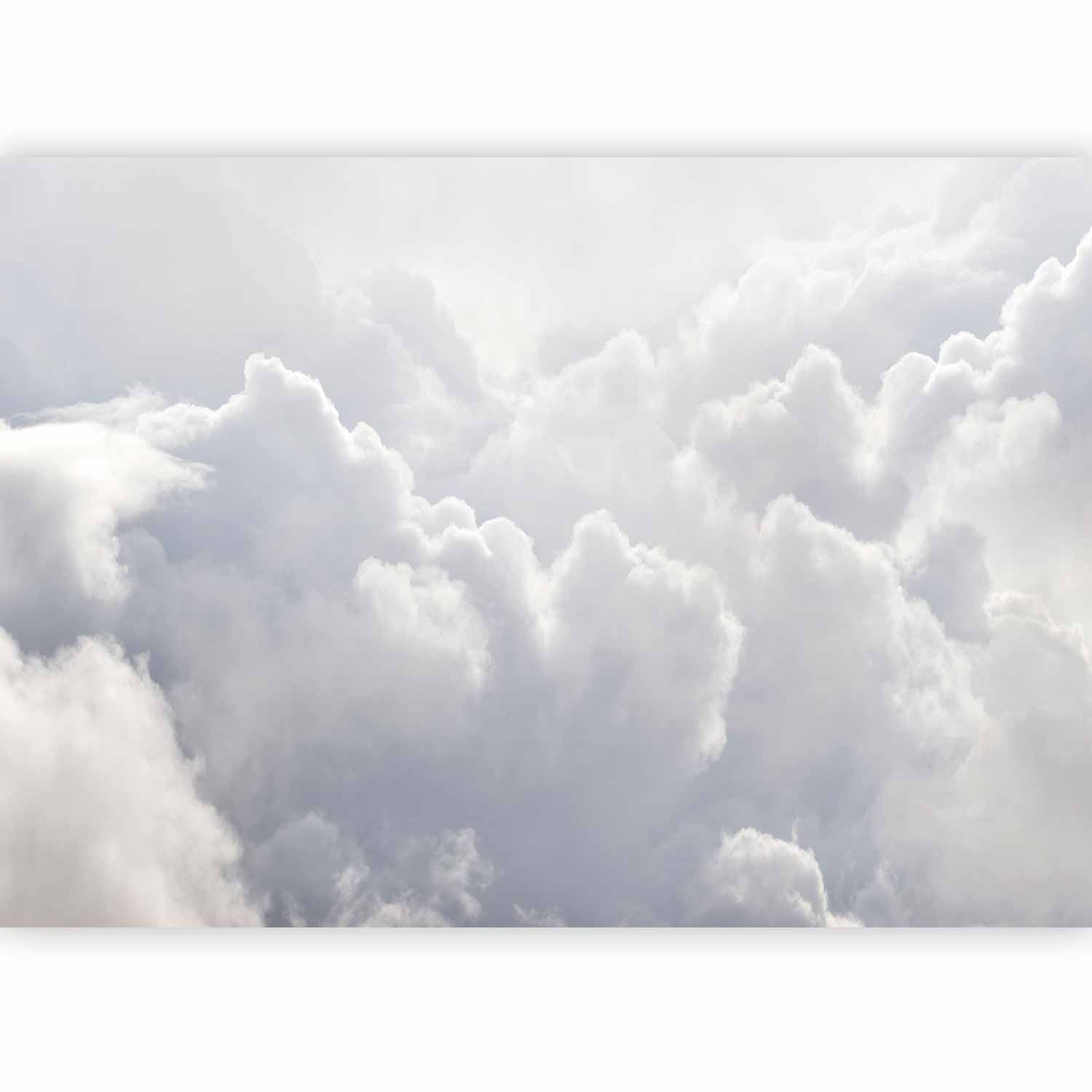 Light Cloudscape Sky Wall Mural